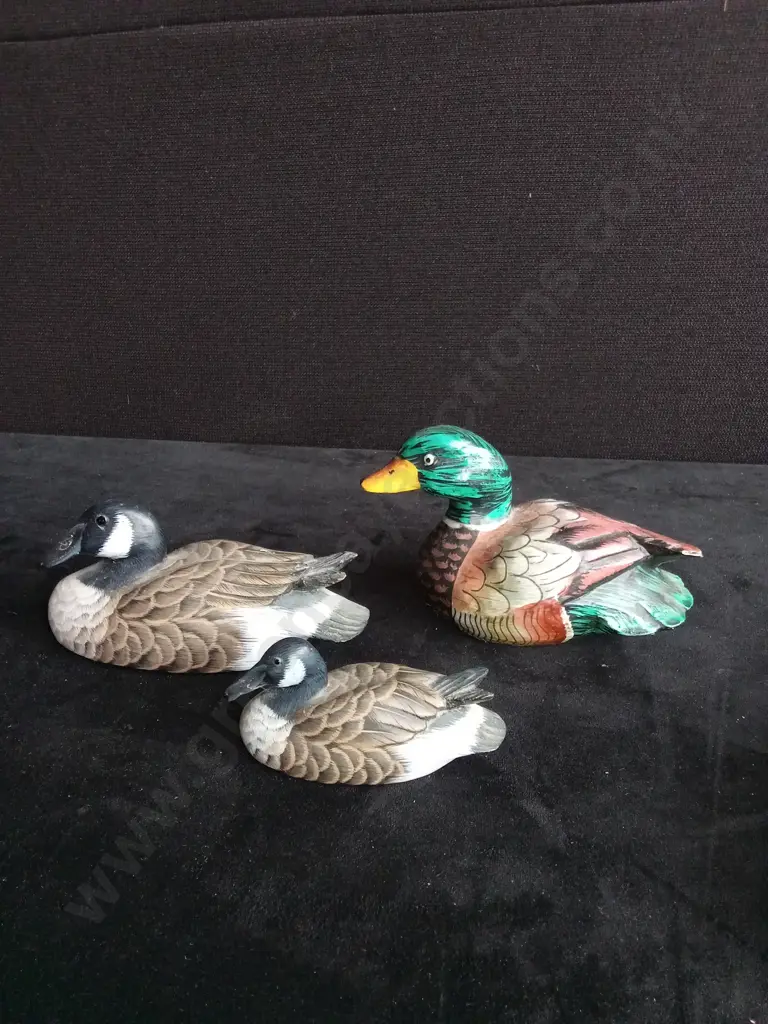 9 DUCK ORNAMENTS Image 1++