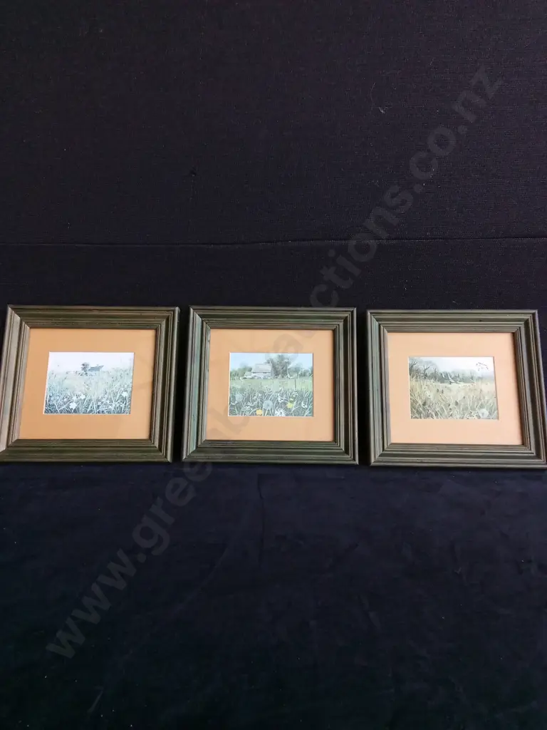 SET OF 3 FRAMED GARDEN PRINTS Image 1++