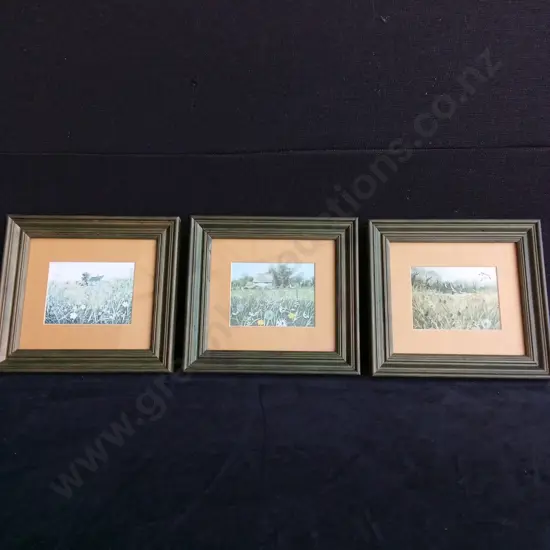 SET OF 3 FRAMED GARDEN PRINTS