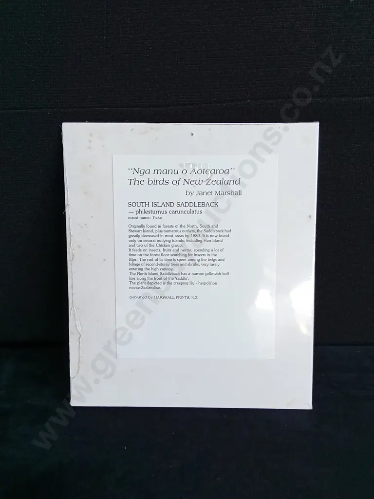 2 PIECES BIRD PRINTS7, ONE CANVAS PRINT Image 1++