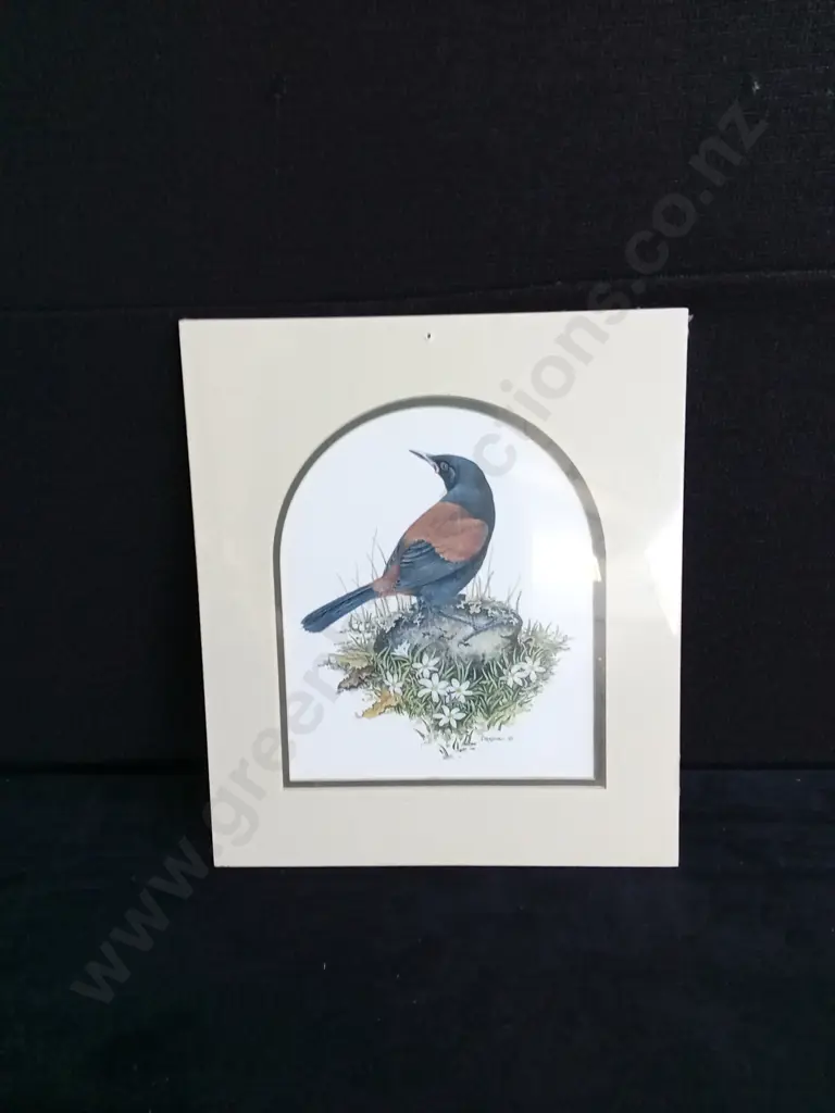 2 PIECES BIRD PRINTS7, ONE CANVAS PRINT Image 1++