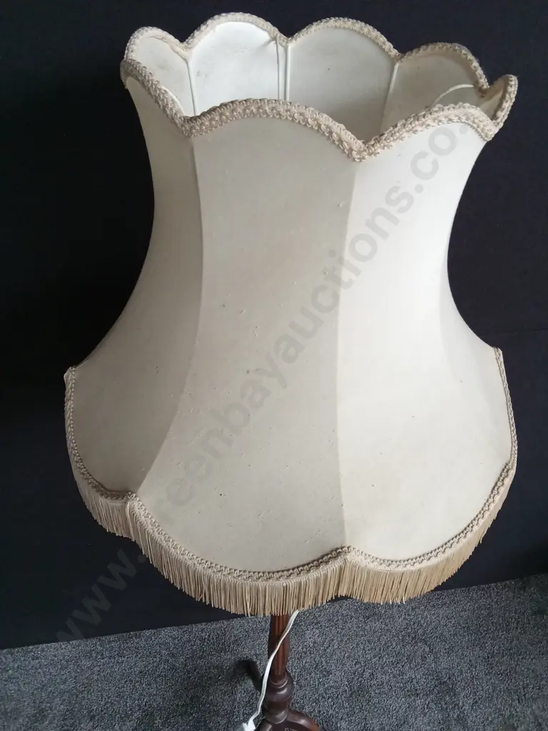 VINTAGE FLOOR LAMP WITH TASSELED LAMP SHADE H 1.66 M Image 1++