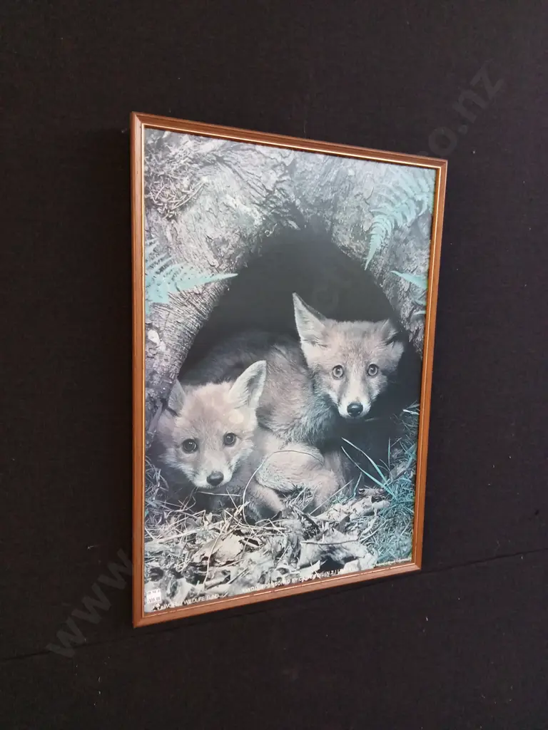 3 PIECES ANIMAL PRINTS Image 1++