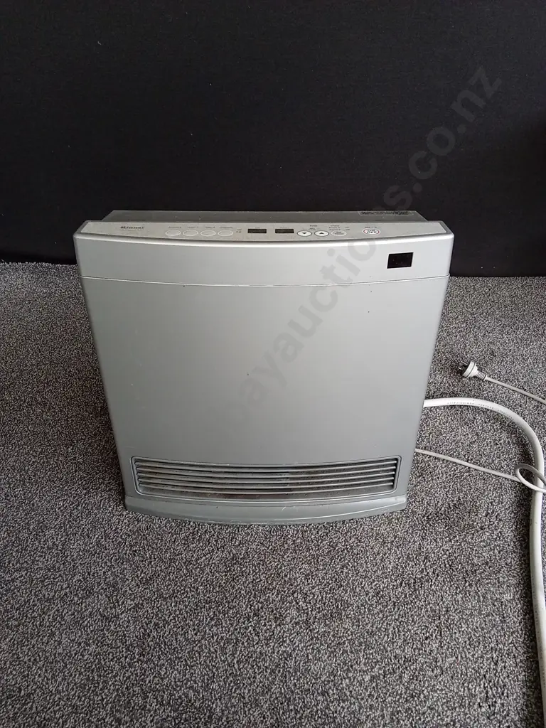 RINNAI DYNAMI 15 GAS HEATER WORKING Image 1++