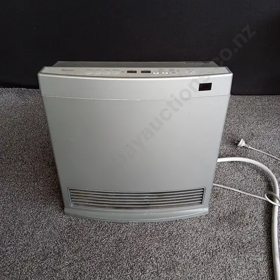 RINNAI DYNAMI 15 GAS HEATER WORKING