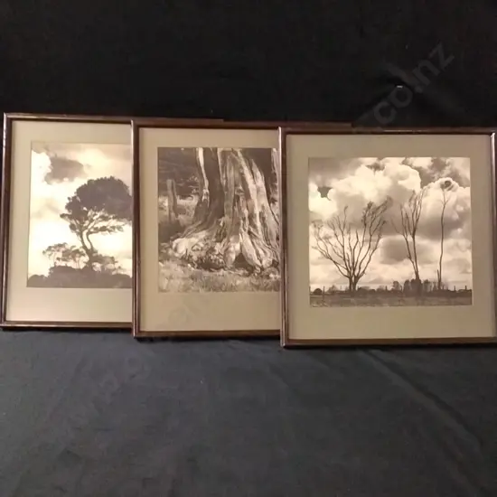FRAMED PRINTS X 3