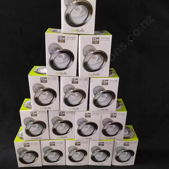 ECO BULBS X 15