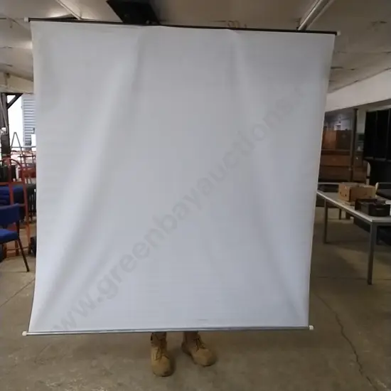 PROJECTOR SCREEN