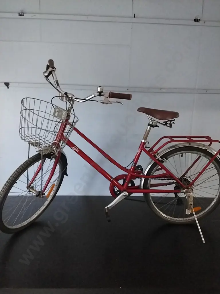 LUKU BIKE AND BASKET Image 1++