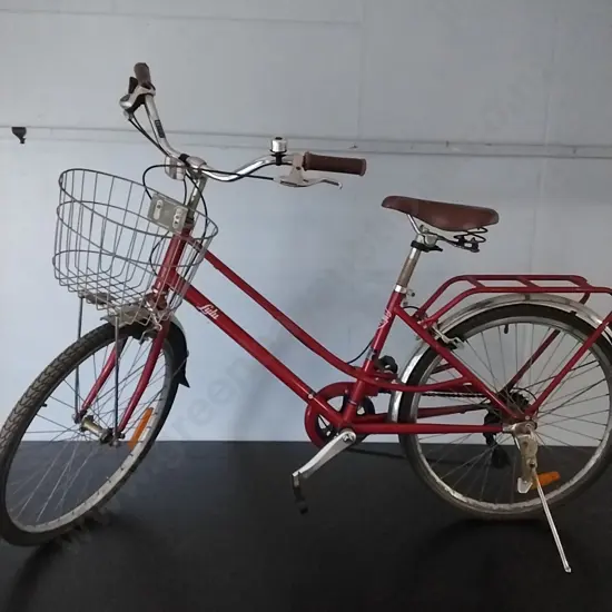 LUKU BIKE AND BASKET