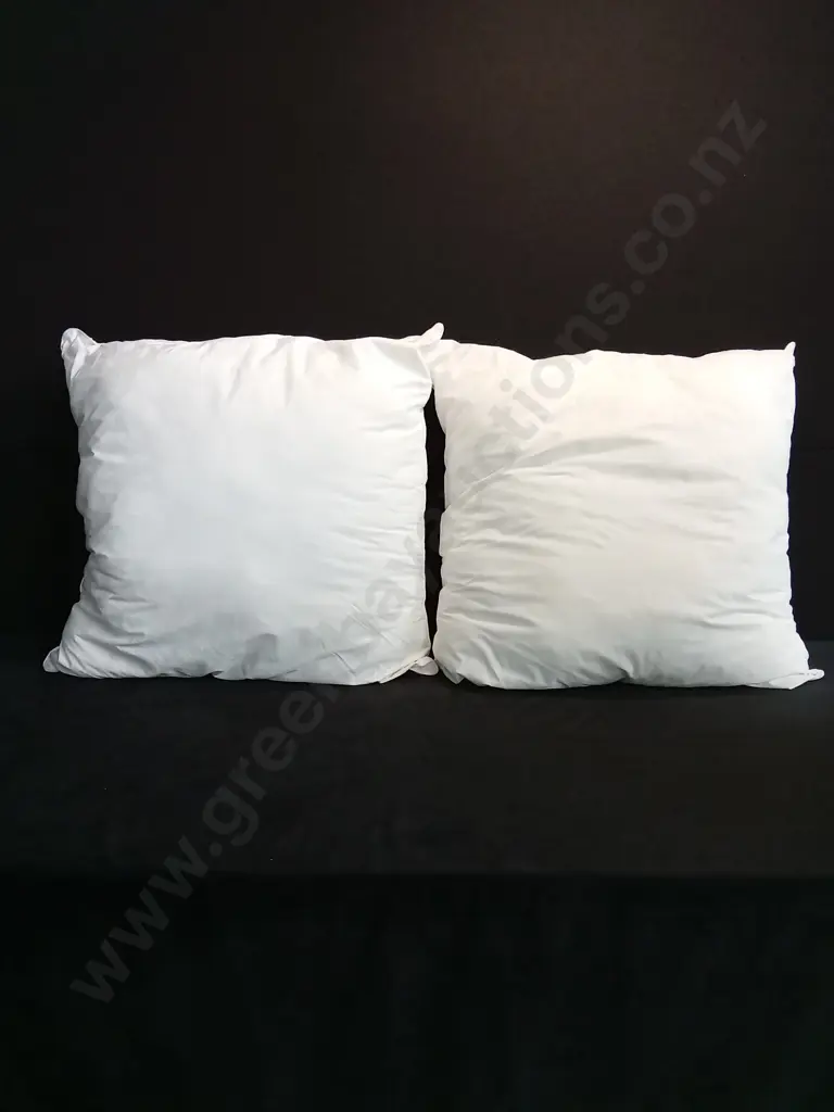 PAIR OF LARGE CUSHION INNERS Image 1++
