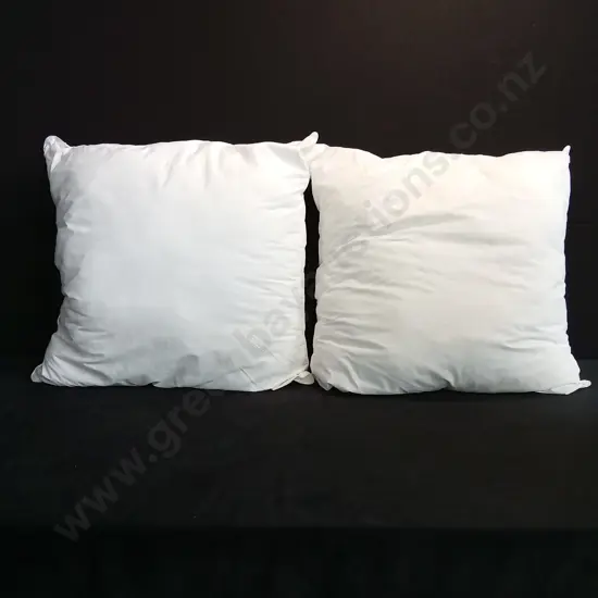 PAIR OF LARGE CUSHION INNERS