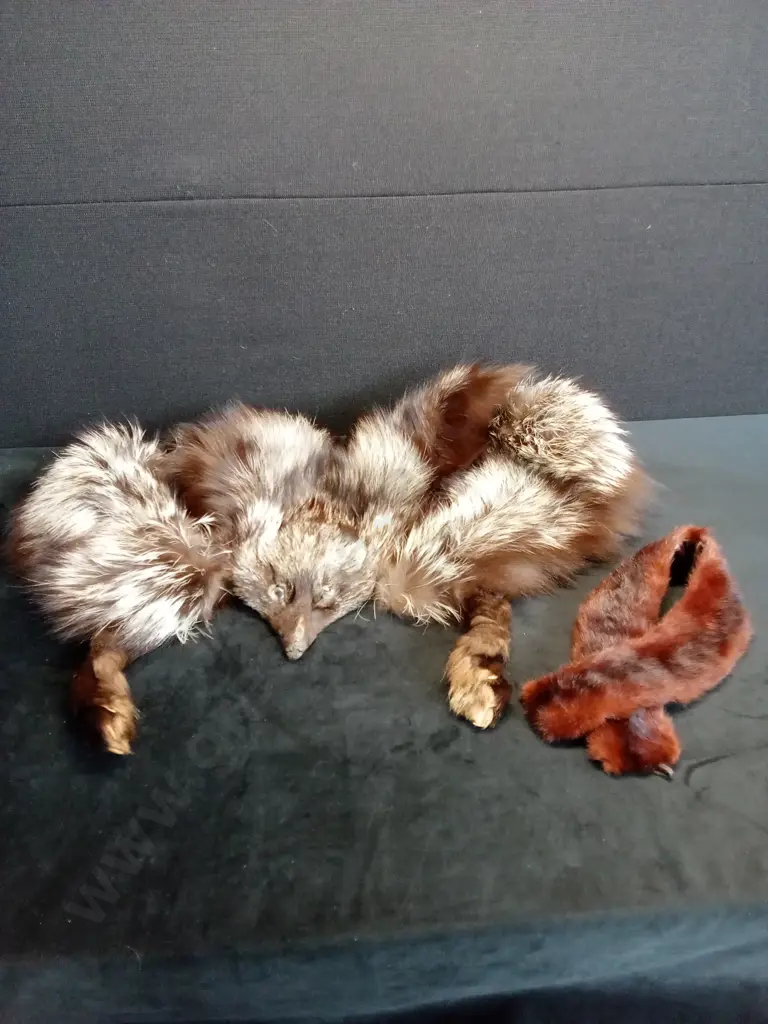 TAXIDERMY FOX VEST AND FUR COLLAR Image 1++