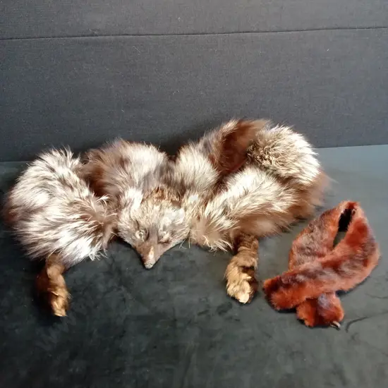 TAXIDERMY FOX VEST AND FUR COLLAR