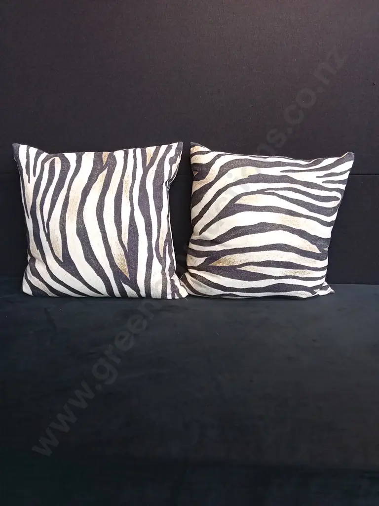 ZEBRA STRIPPED CUSHIONS X 2 Image 1++