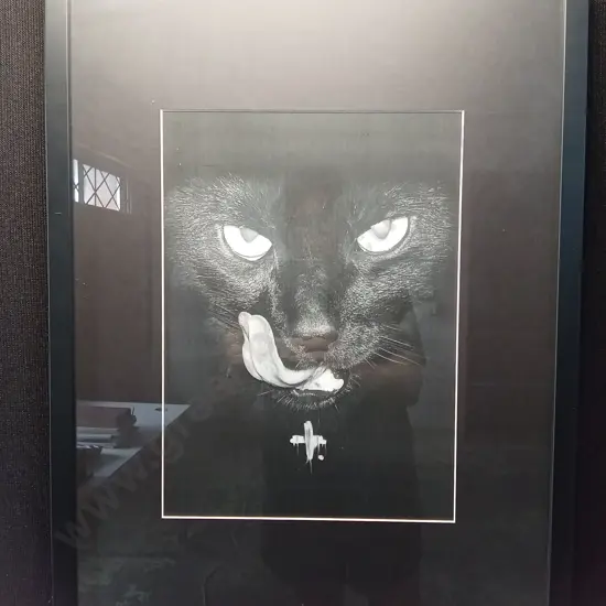 FRAMED PRINT - FEDERATION CLOTHING