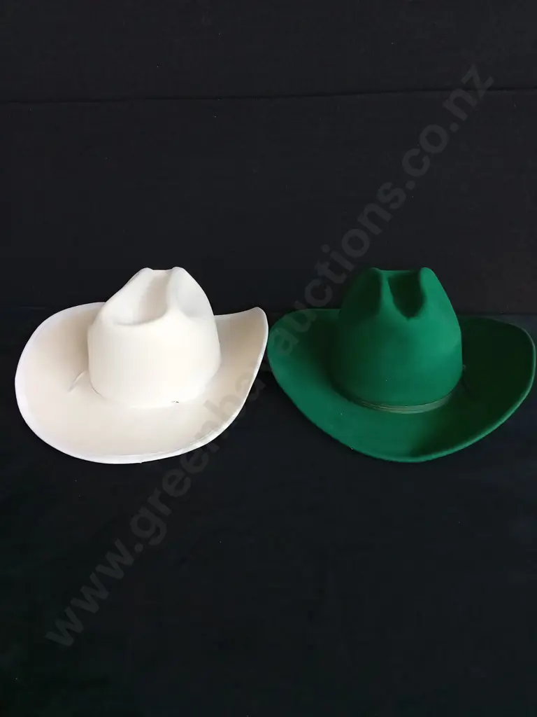 2 COWBOY HATS Image 1++