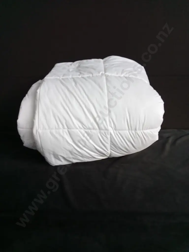 QUEEN SIZE DUVET INNER Image 1++