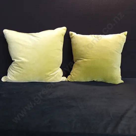 GREEN/ MULBERI CUSHIONS X 2