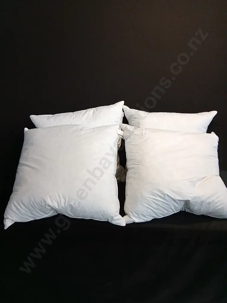 DUCK FEATHER FILLED LARGE SQUARE PILLOWS X 4 Image 1++