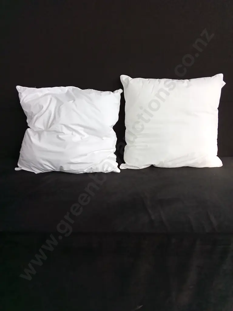LARGE SQUARE CUSHION INNERS X 2 Image 1++