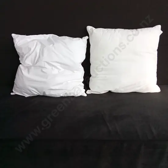 LARGE SQUARE CUSHION INNERS X 2