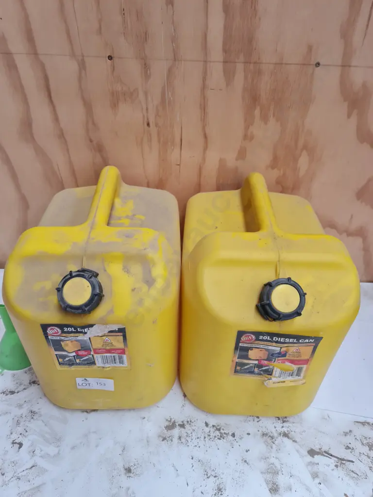 Diesel Totes x 2 Image 1++