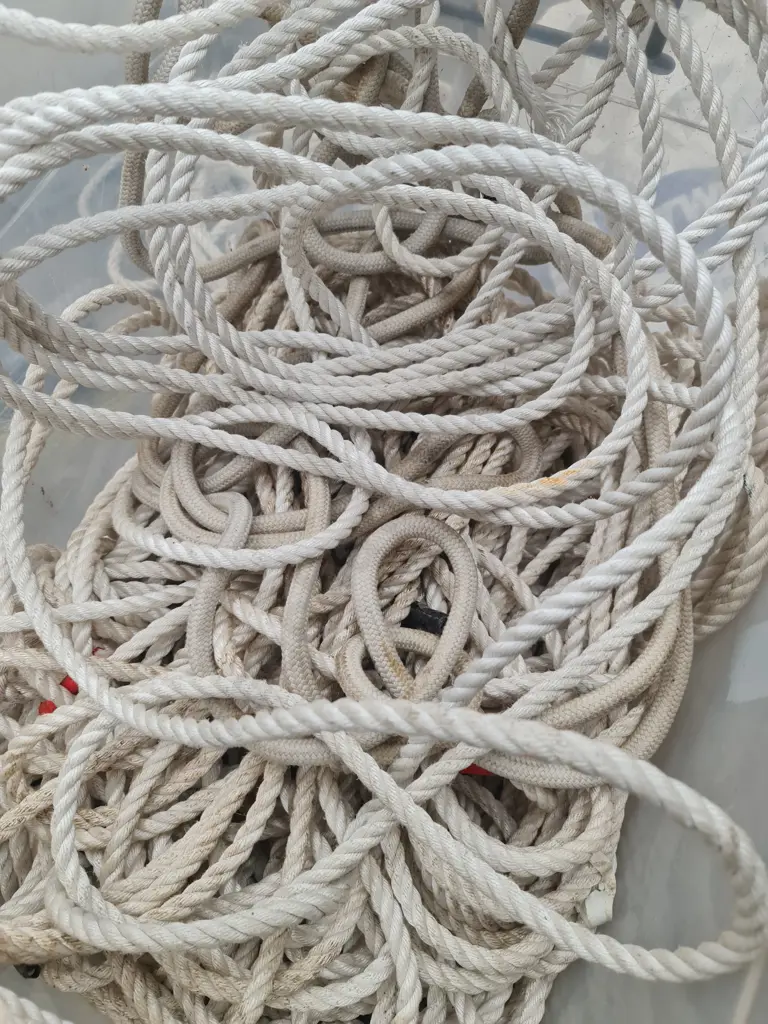 Large Bin of Rope Image 1++