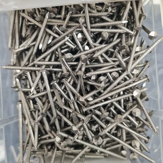Stainless Steel Nails