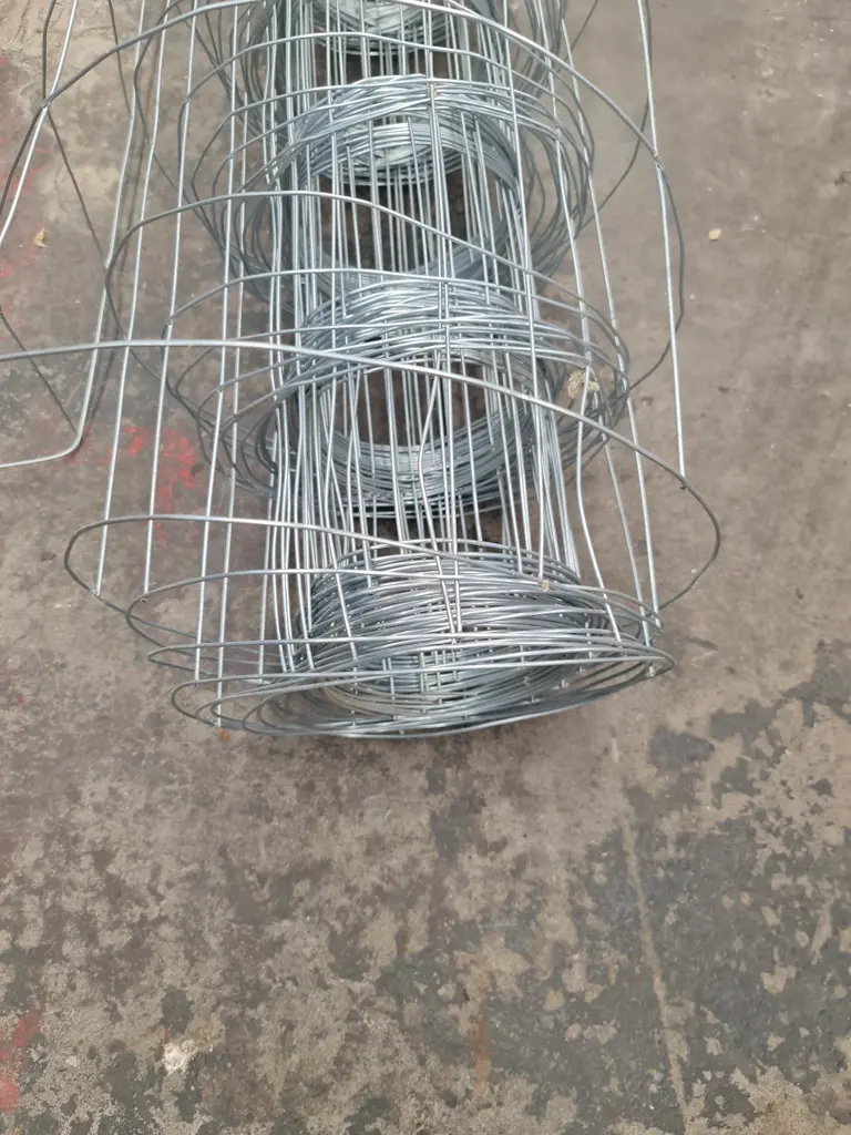 Roll of Wire Mesh Image 1++