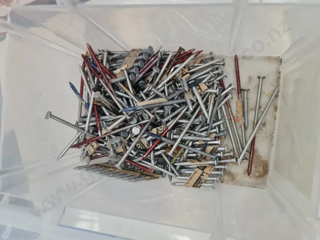 Anzor Stainless Steel Nails Image 1++