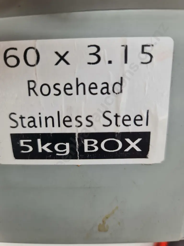 Stainless Steel Nails Image 1++