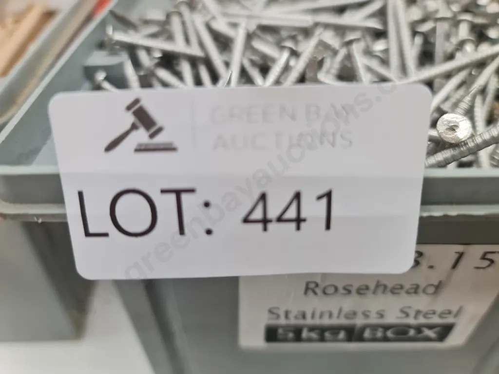 Stainless Steel Nails Image 1++