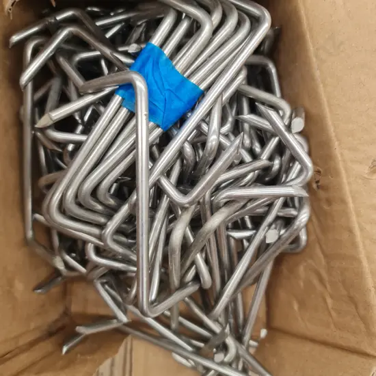 Stainless Steel Nails