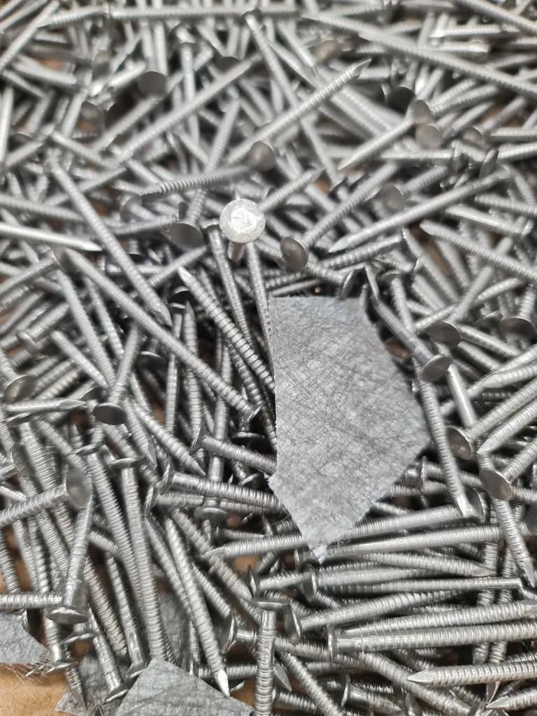 Assorted Stainless Steel Screws and Nails Image 1++