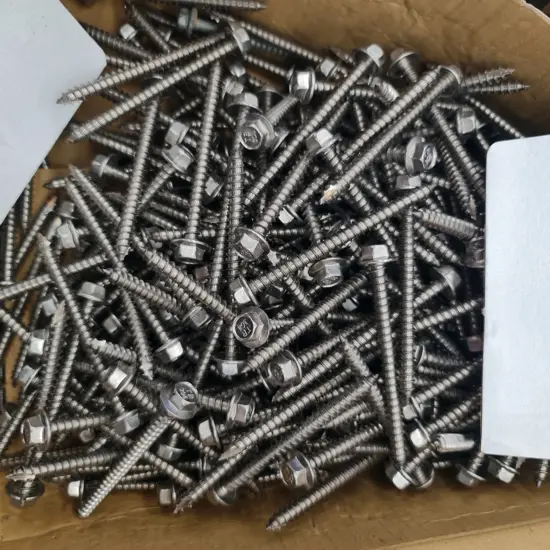 Assorted Stainless Steel Screws and Nails