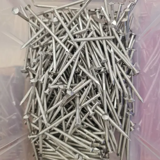 Assorted Stainless Steel Nails