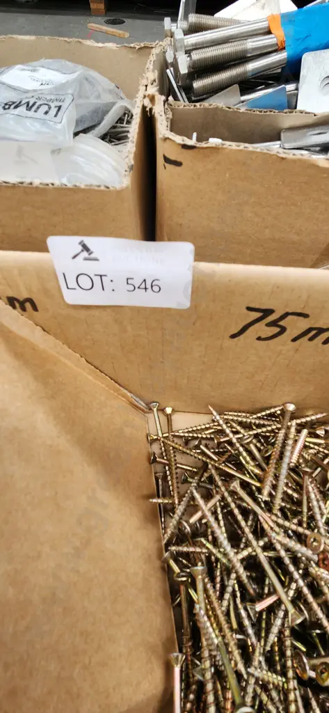 Assorted Screws Image 1++