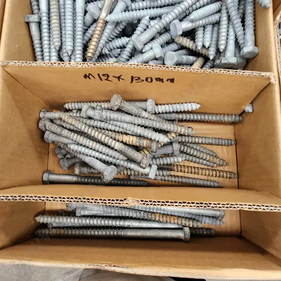 Assorted Coach Bolts
