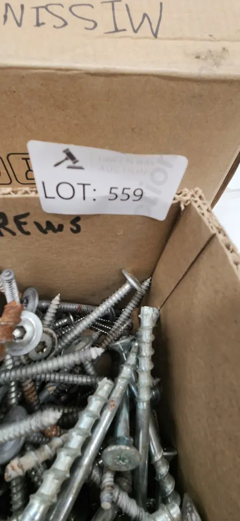 Assorted Screws Image 1++