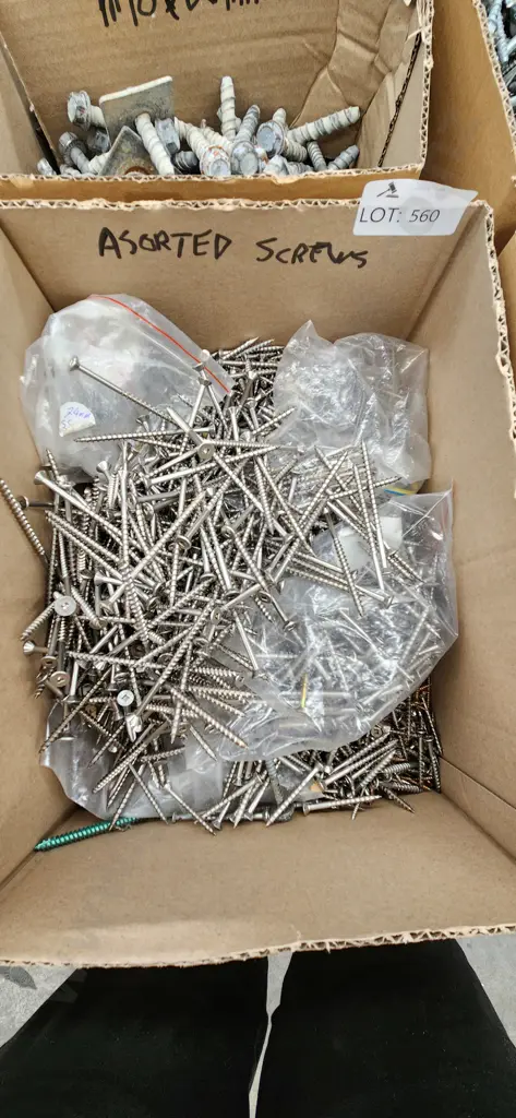 Assorted Screws Image 1++