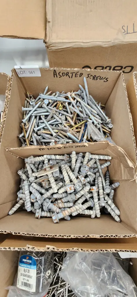 Assorted Screws Image 1++