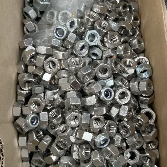 Assorted Nuts and Bolts