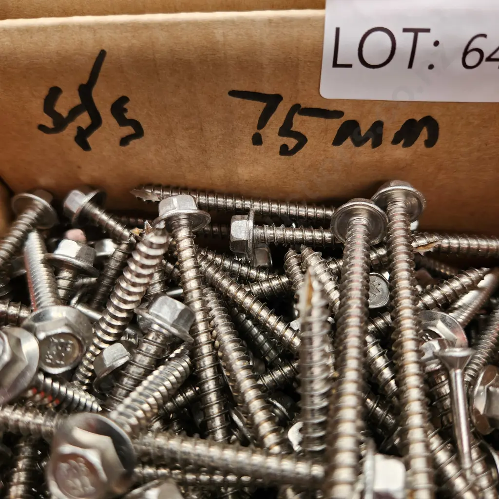 Assorted Stainless Steel Screws Image 1++