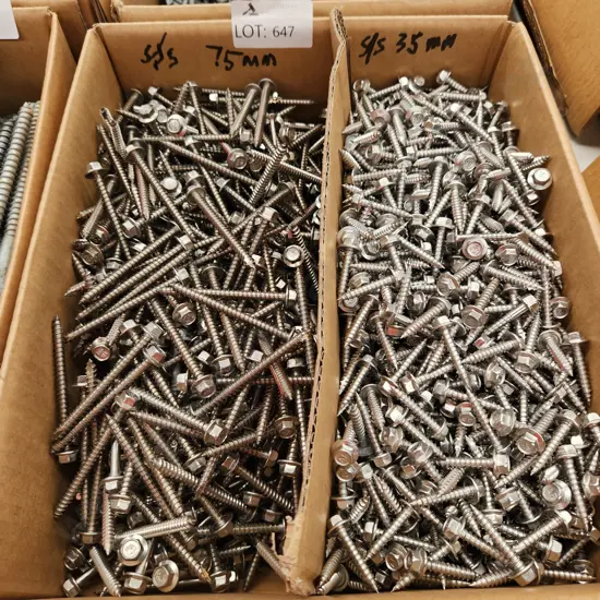 Assorted Stainless Steel Screws