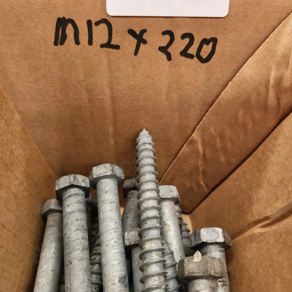 Coach Bolts Image 1++