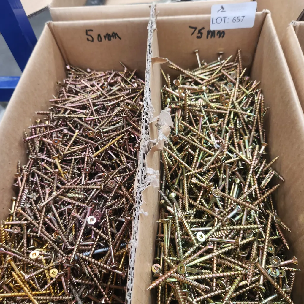 Assorted Screws Image 1++