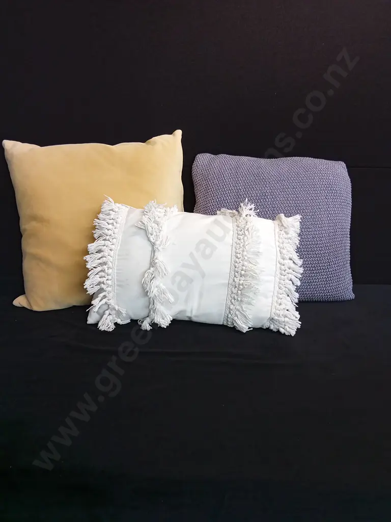 CUSHIONS X 3 Image 1++