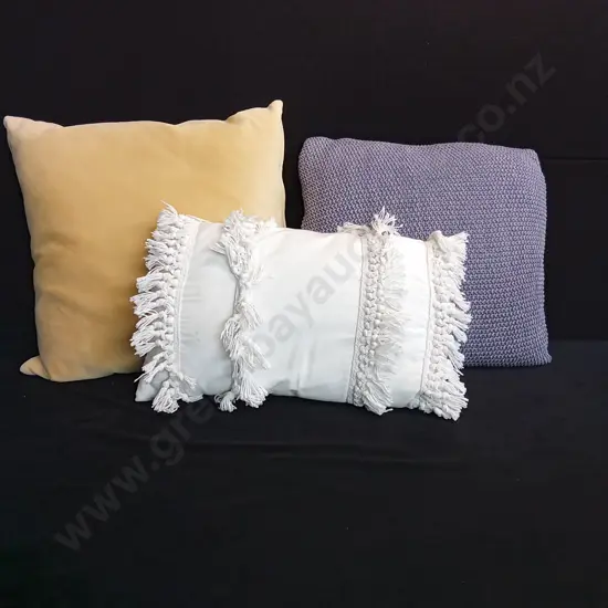 CUSHIONS X 3