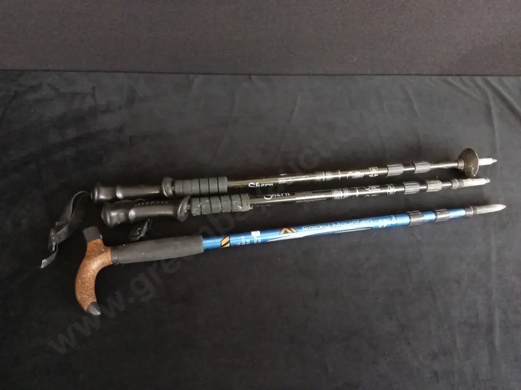 ROCKY MOUNTAIN AND SHERN HIKING STICKS X 3 Image 1++